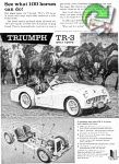 Triumph 1959 016.jpg